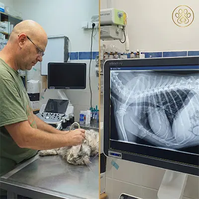 המרכז הוטרינרי