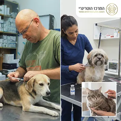 המרכז הוטרינרי